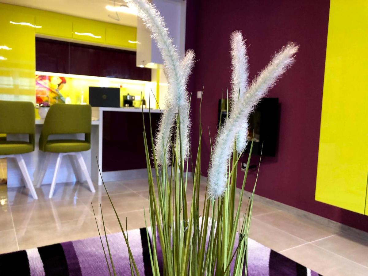Apartament Ultraviolet Relax